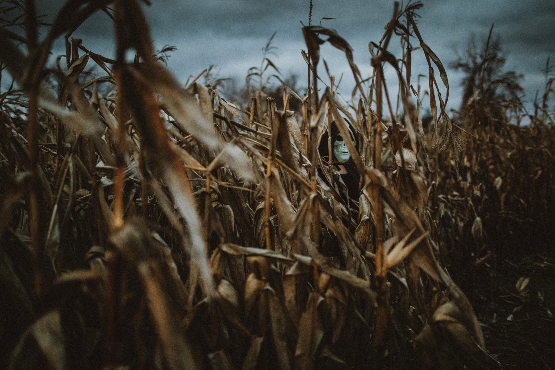 Halloween 2020 Reimagined Brooks Farms Spooky Nights